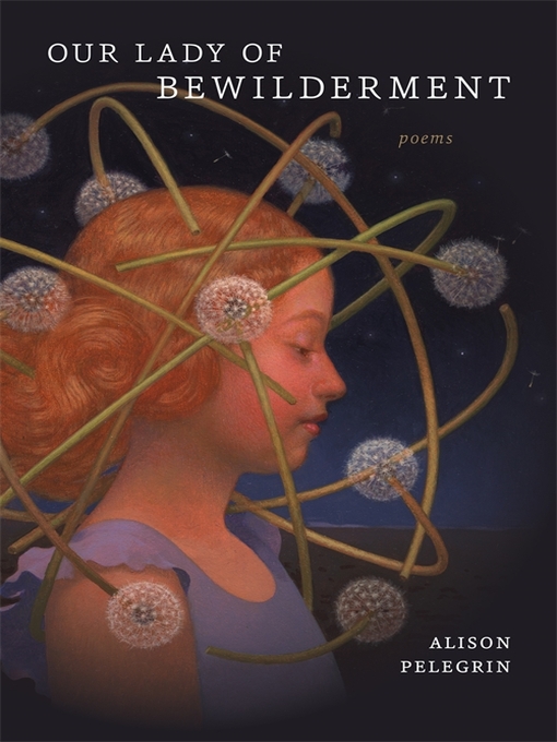 Title details for Our Lady of Bewilderment by Alison Pelegrin - Available